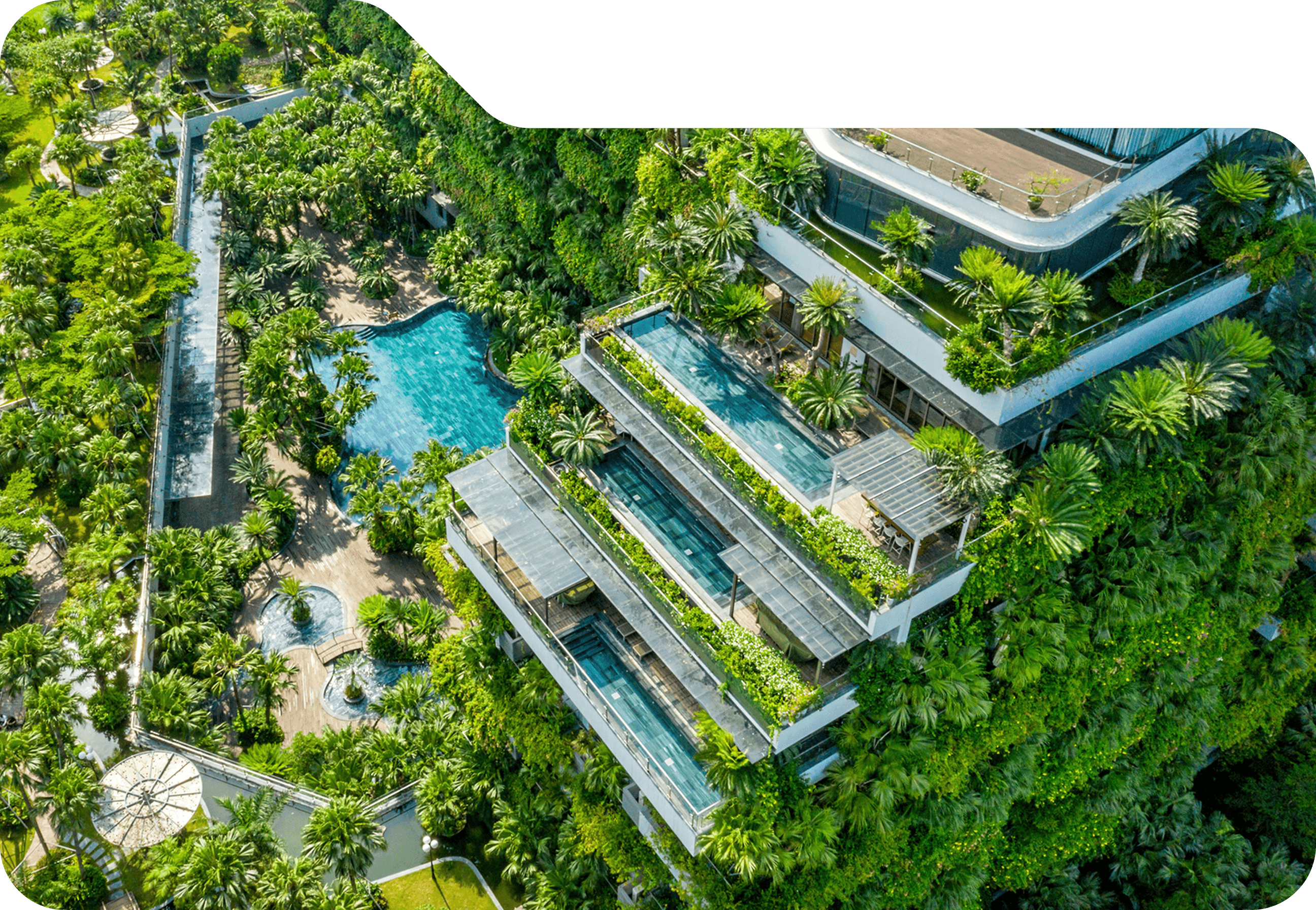 Flamingo Resort